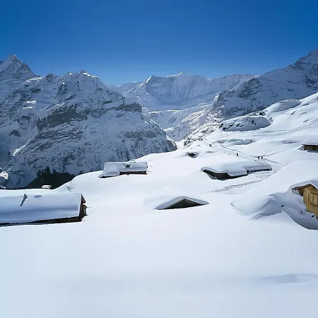 Appartement Chilchboden By Interhome Grindelwald