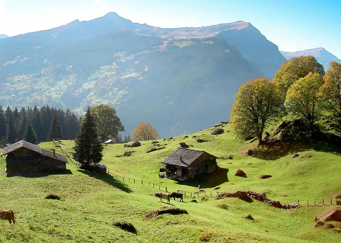 شقة Chilchboden By Interhome